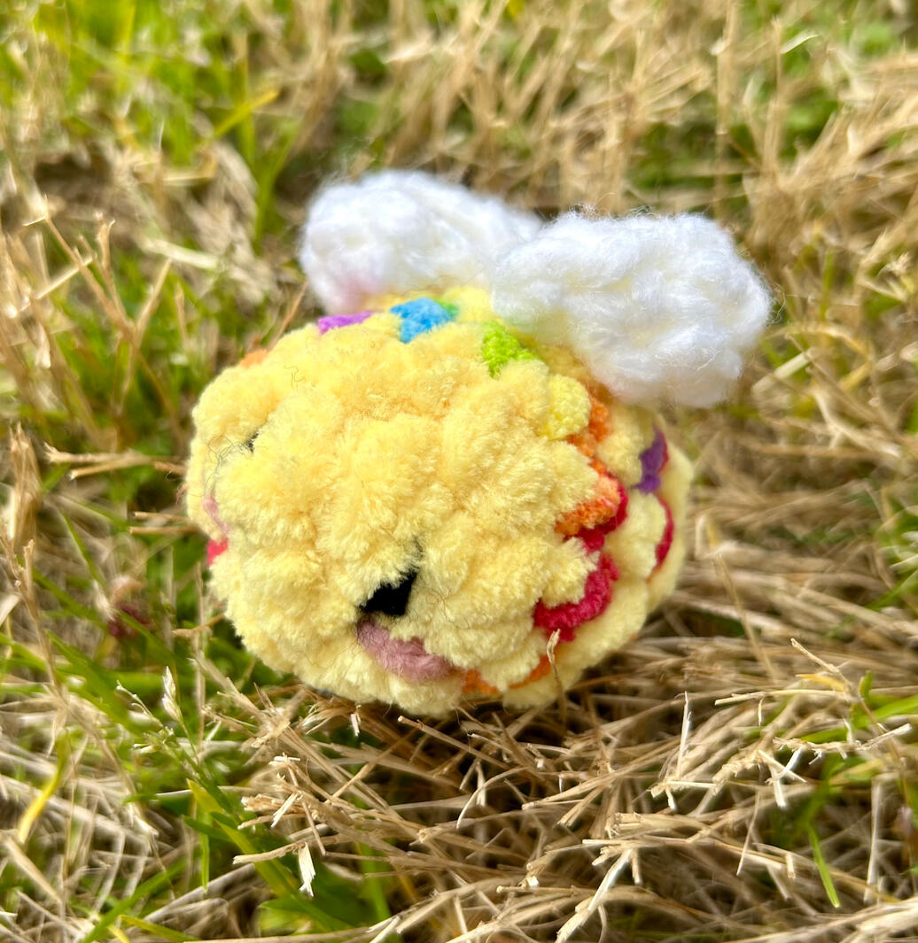 Rainbow bee Rainbow bee