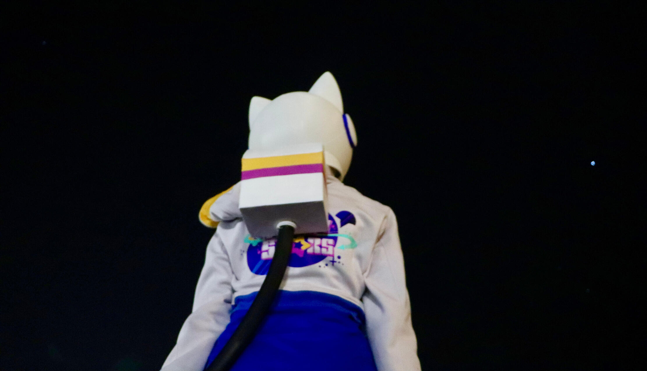 Astronaut Maria - Sonic the Hedgehog (Reach for the Stars Zine)