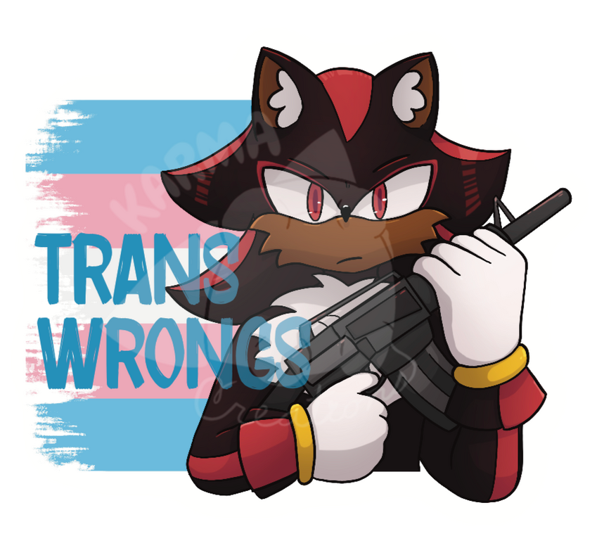 Shadow Trans Wrongs Sticker