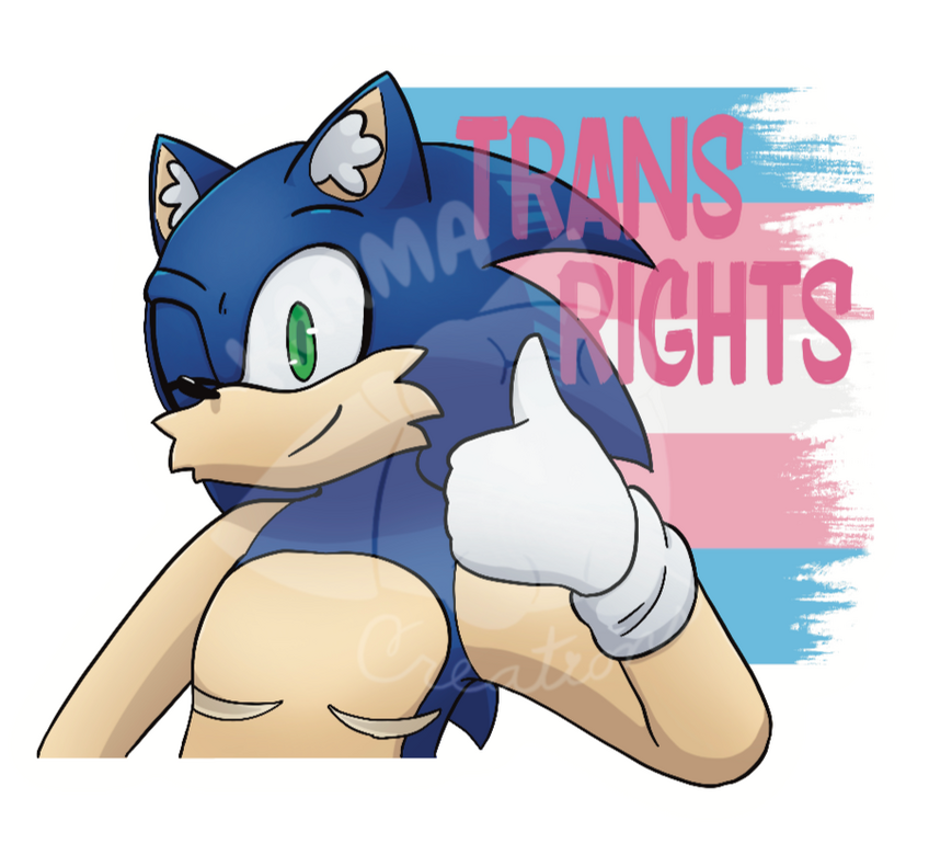Sonic Trans Rights Sticker Sonic Trans Rights Sticker