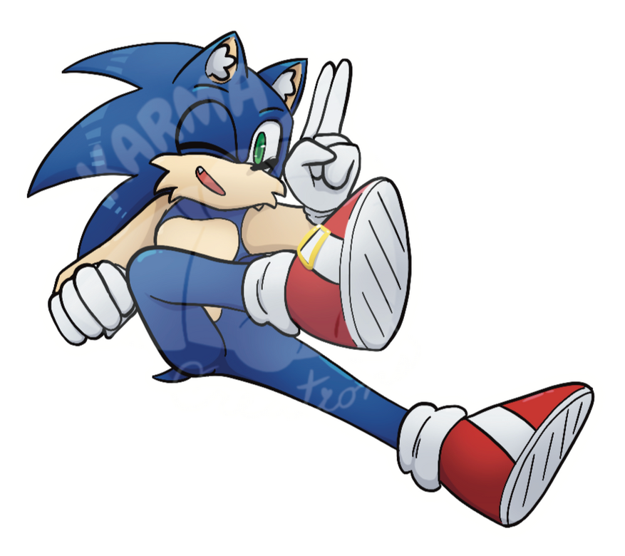 Sonic the Hedgehog Sticker Sonic the Hedgehog Sticker