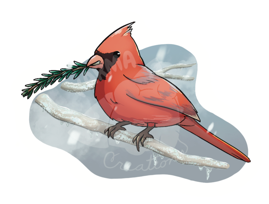 Winter Cardinal Sticker Winter Cardinal Sticker
