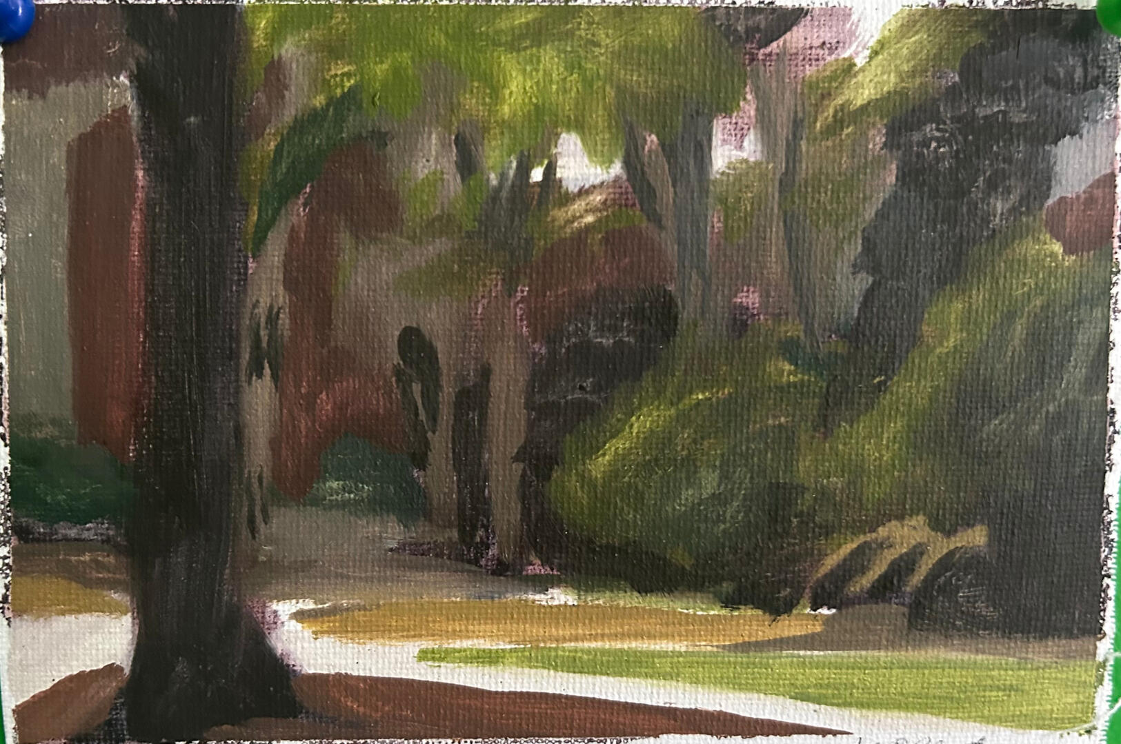 Sunlit Path (April 2026)