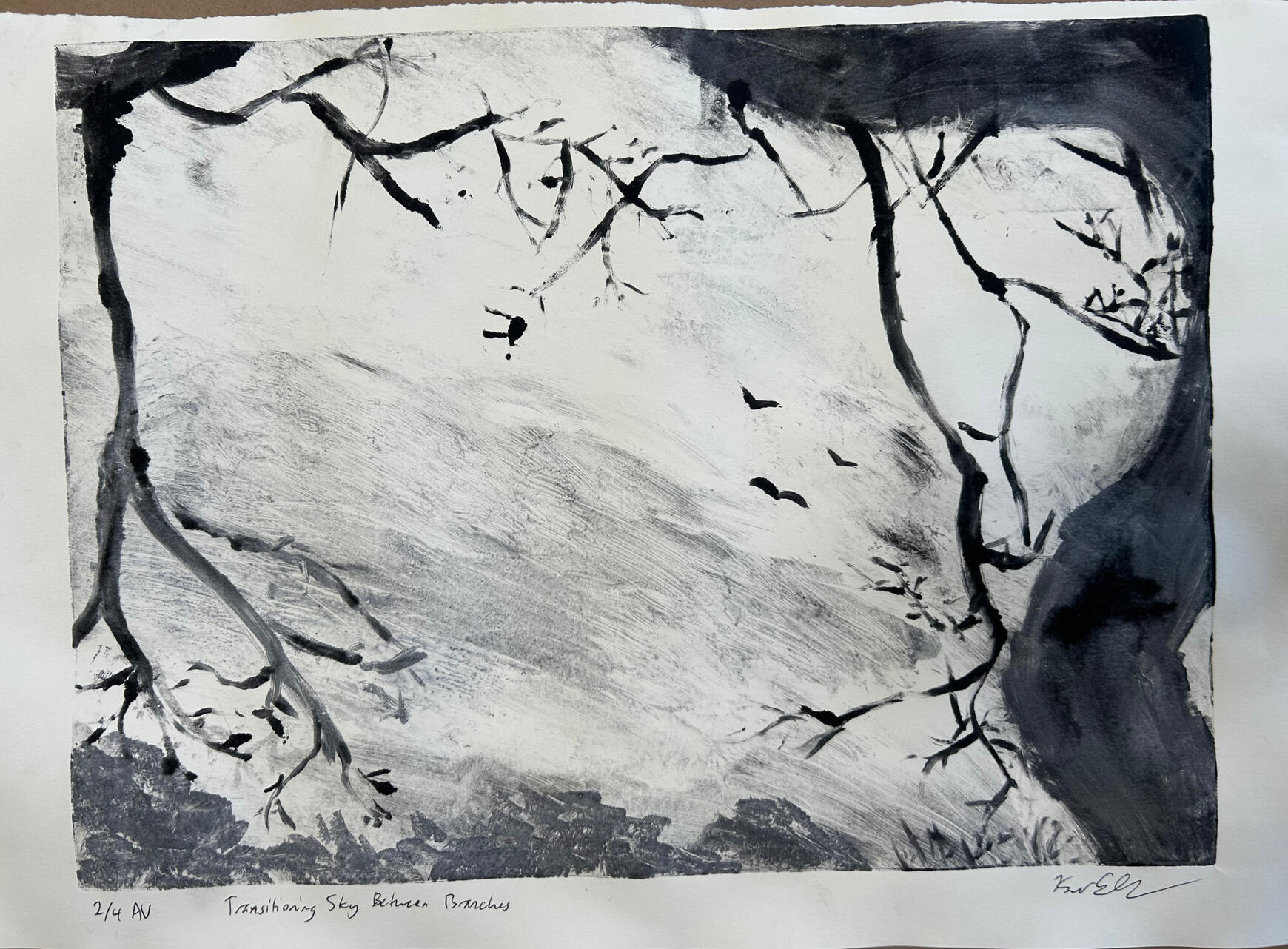 Transitioning Sky Between Branches (March 2025)