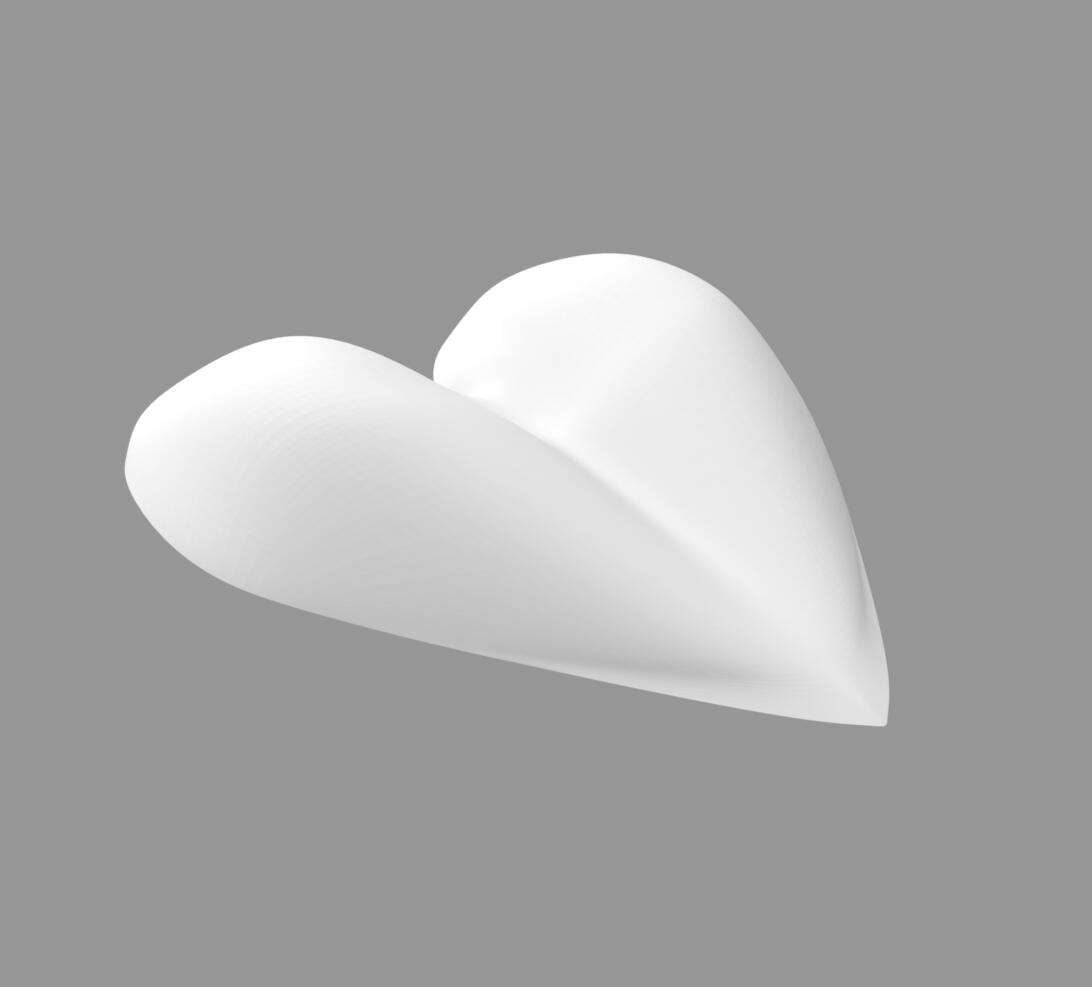 Heart 3D model view 2